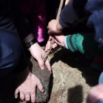 Başakşehir Belediyesi Başkanı Bahçekent'lileri Ziyaret Etti!